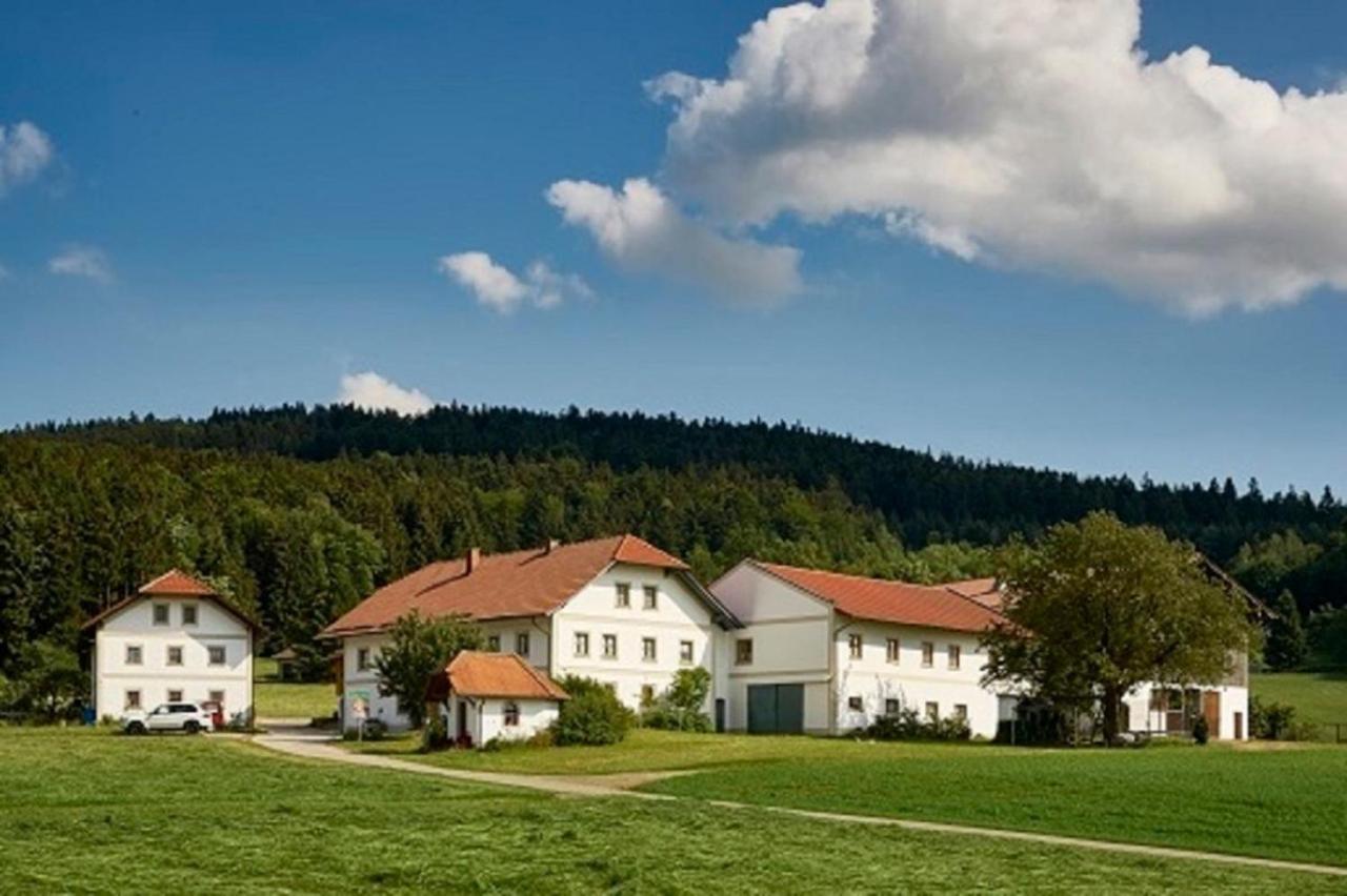 Apartament Der Breinhof - Euer Urlaubsbauernhof Waldkirchen Zewnętrze zdjęcie